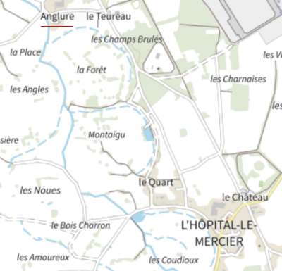 Anglures